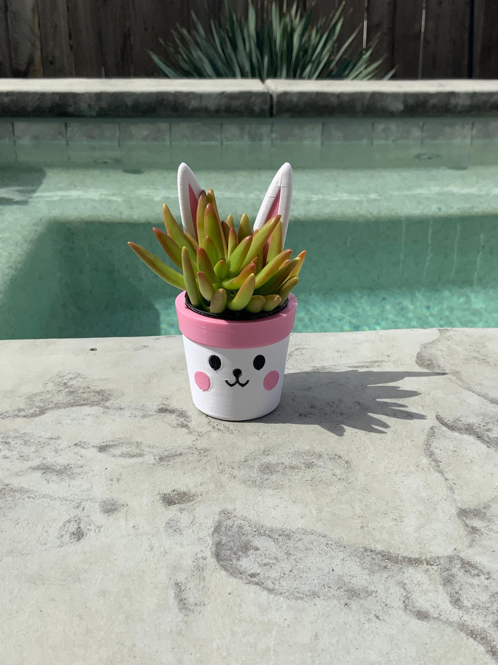 Easter Bunny Mini Planter: Custom PETG Plastic Pot
