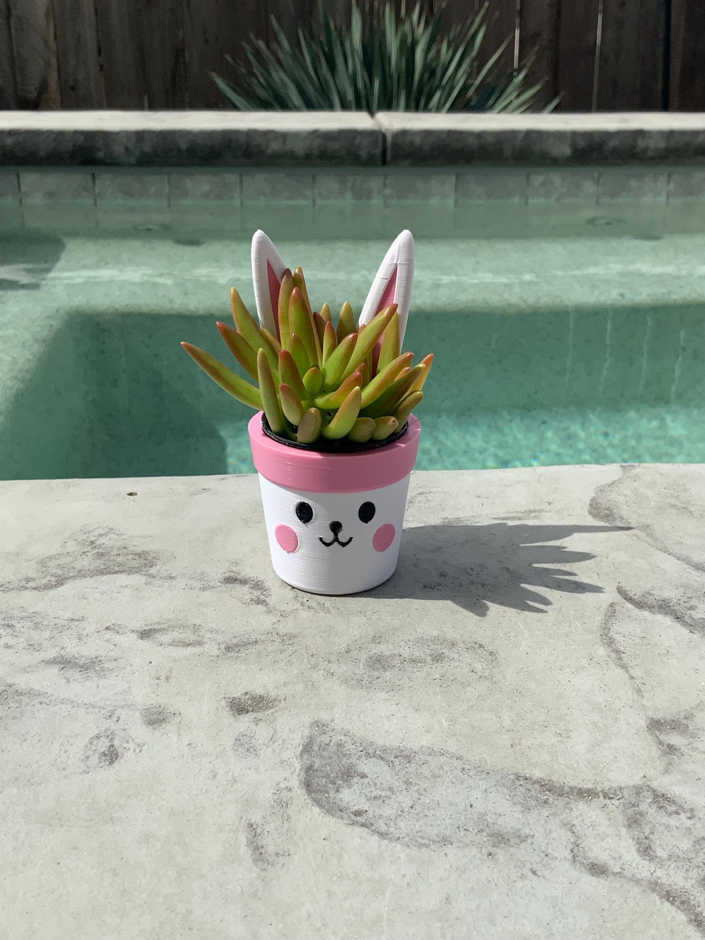 Easter Bunny Mini Planter: Custom PETG Plastic Pot