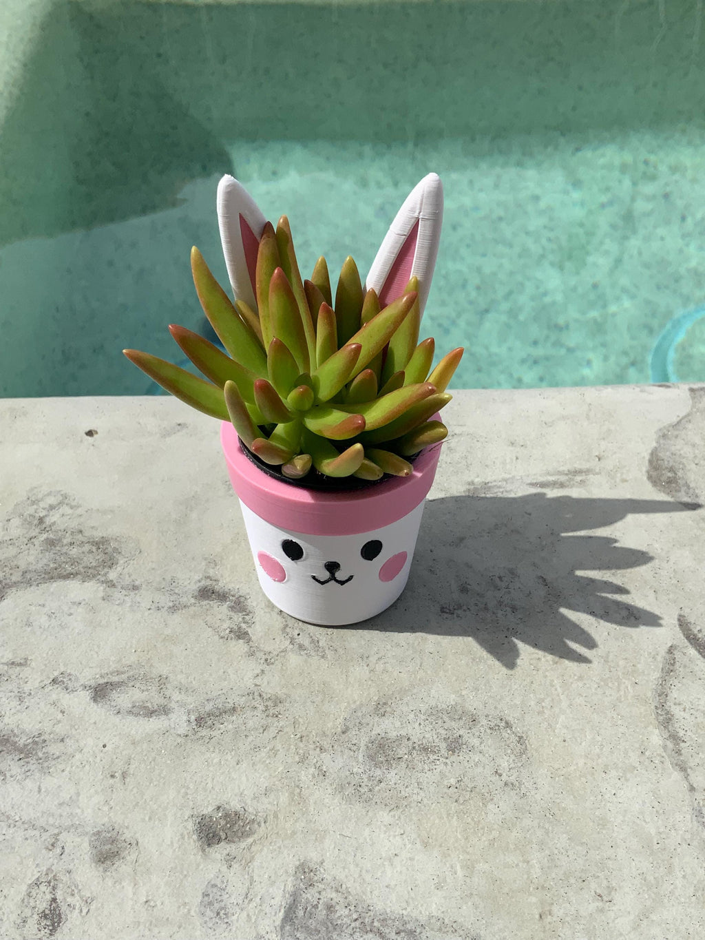 Easter Bunny Mini Planter: Custom PETG Plastic Pot