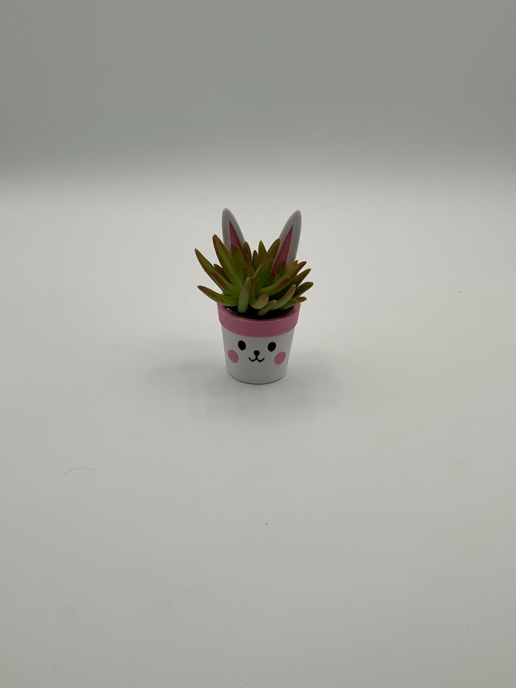 Easter Bunny Mini Planter: Custom PETG Plastic Pot