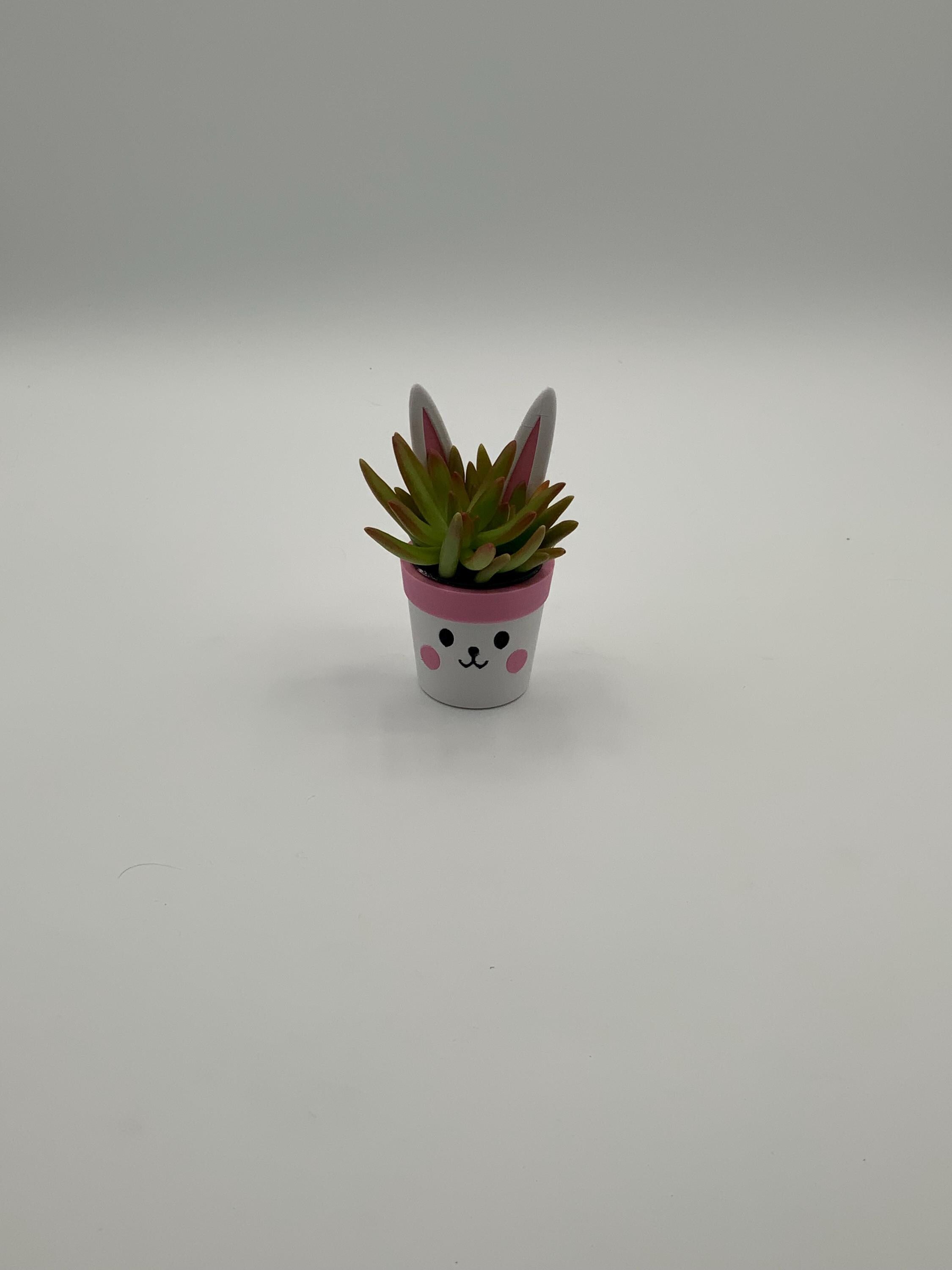 Easter Bunny Mini Planter: Custom PETG Plastic Pot