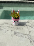 Easter Bunny Mini Planter: Custom PETG Plastic Pot