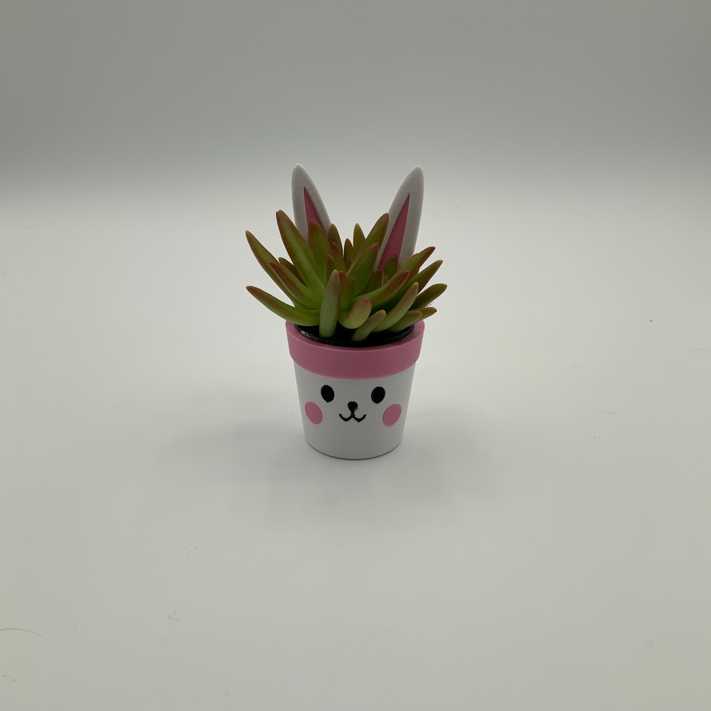 Easter Bunny Mini Planter: Custom PETG Plastic Pot