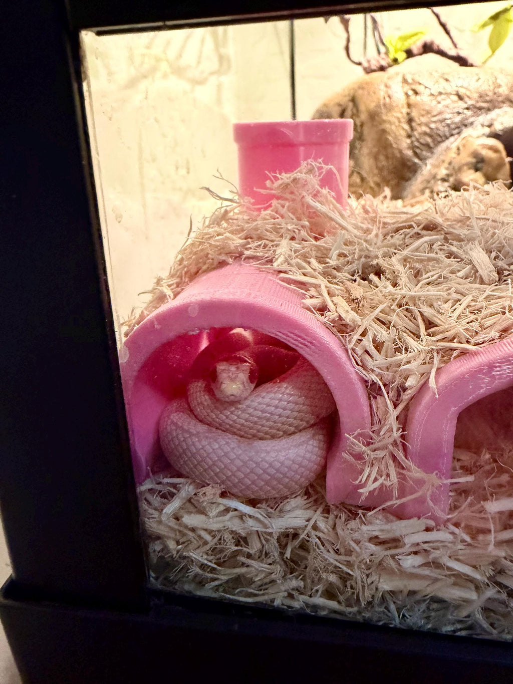 Burrow-View Snake Tunnel Hide | Press-to-Glass Front Openings | Open Bottom for Easy Access | Terrarium Enrichment