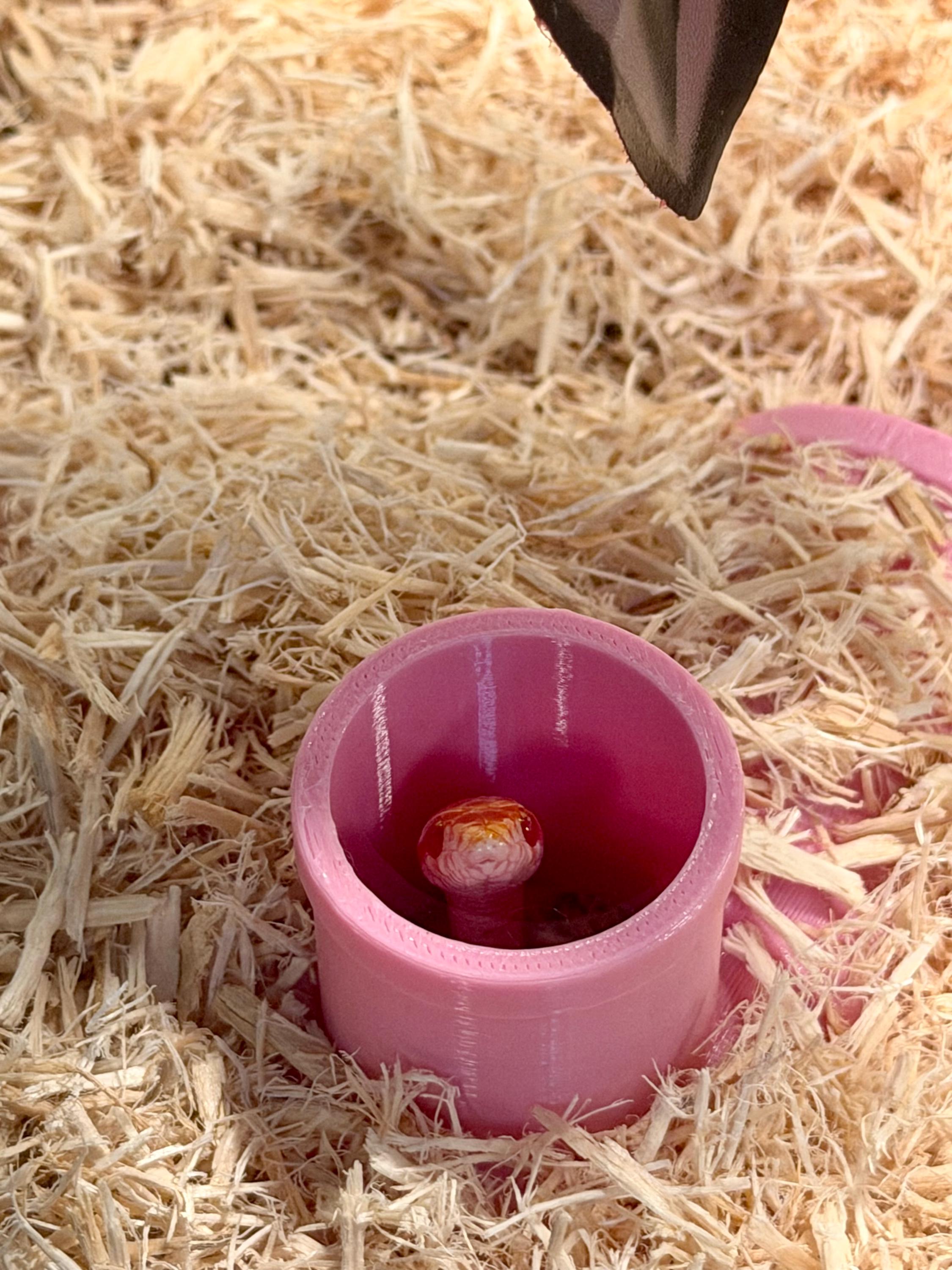 Burrow-View Snake Tunnel Hide | Press-to-Glass Front Openings | Open Bottom for Easy Access | Terrarium Enrichment