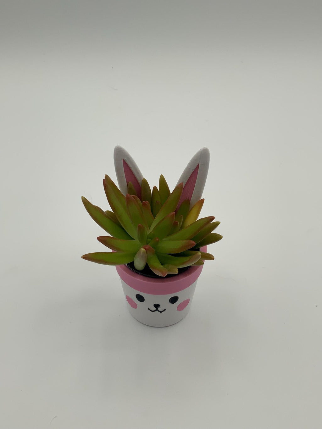 Easter Bunny Mini Planter: Custom PETG Plastic Pot