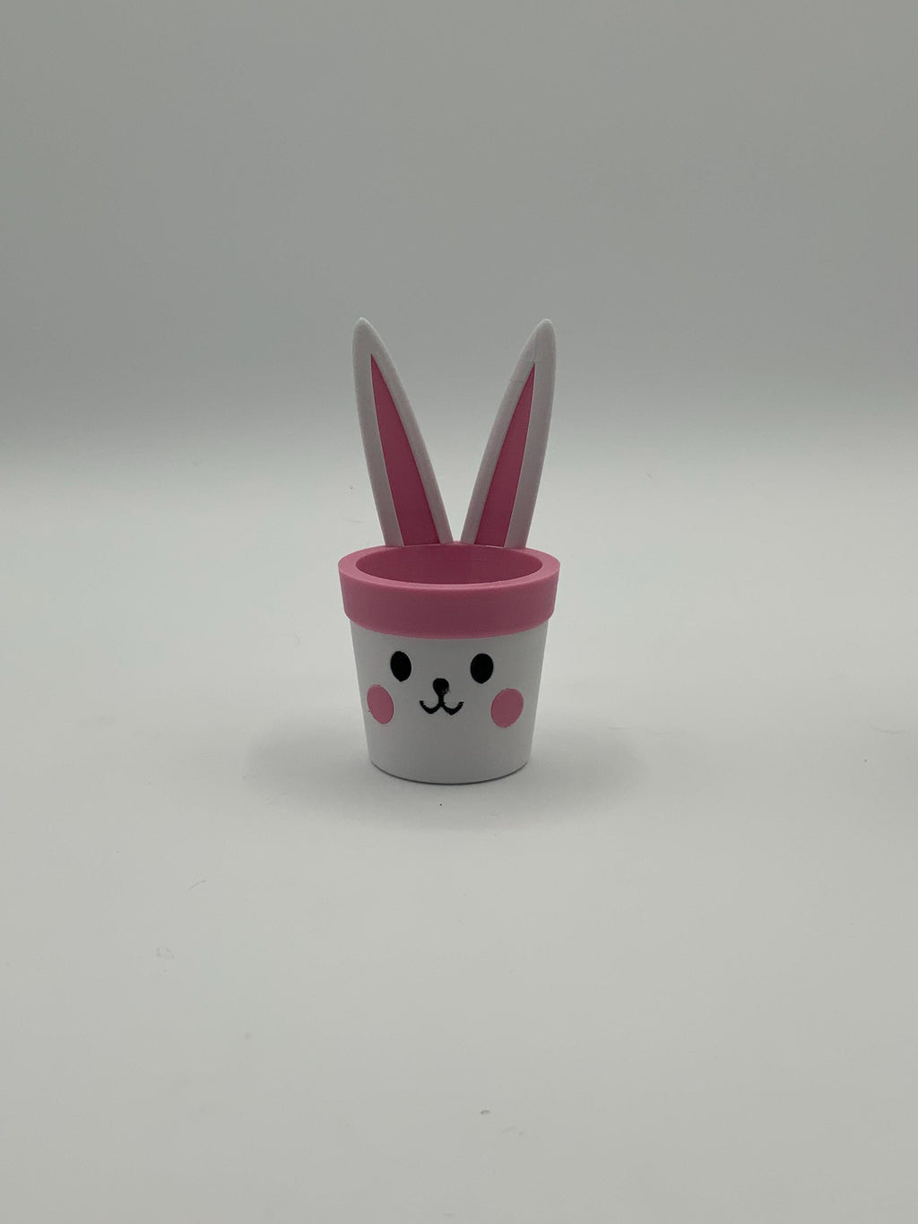 Easter Bunny Mini Planter: Custom PETG Plastic Pot