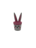 Easter Bunny Mini Planter: Custom PETG Plastic Pot