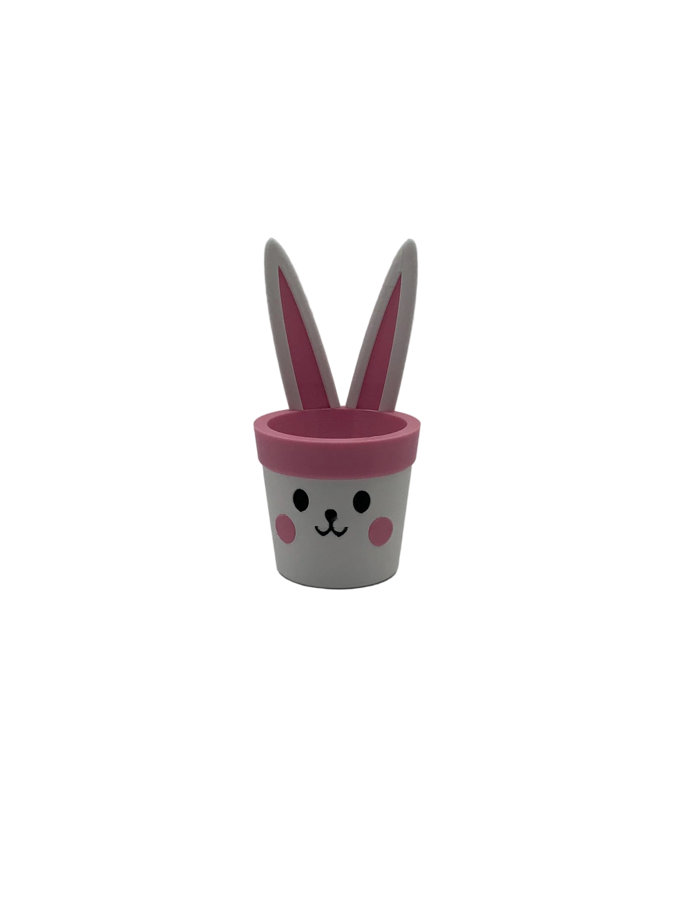 Easter Bunny Mini Planter: Custom PETG Plastic Pot